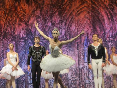 Лебединое озеро 214.JPG