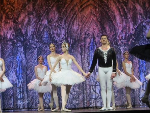 Лебединое озеро 215.JPG