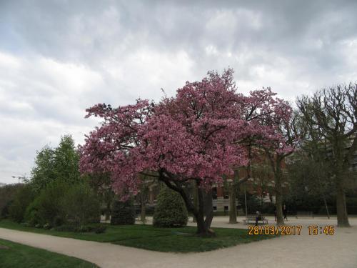 март, париж 1014.JPG