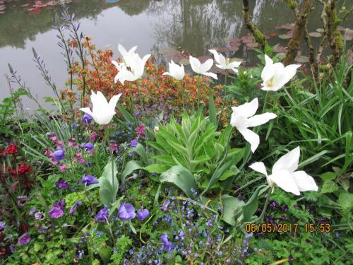 Нов. Ароматы 2 658.JPG