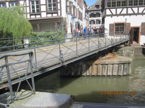 Ароматы, 11.04.2016 2583.JPG