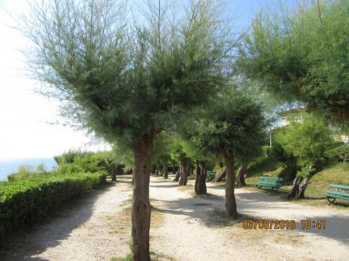 2GT 1 часть2016 1724.JPG