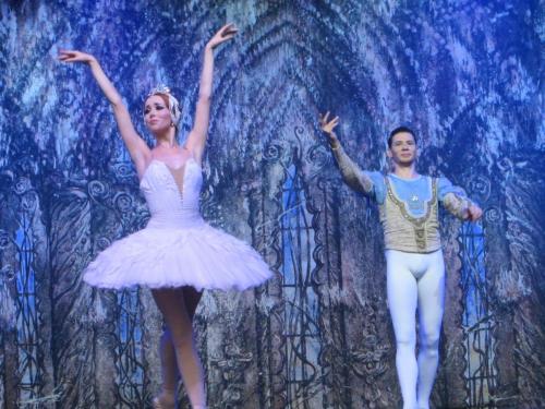 Лебединое озеро 098.JPG