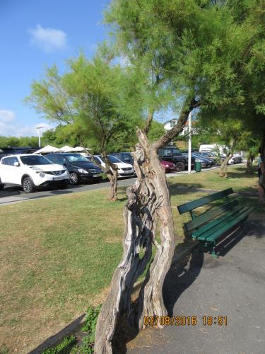 2GT 1 часть2016 1745.JPG