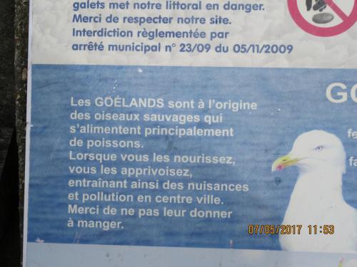 Нов. Ароматы 2 996.JPG