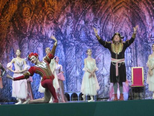 Лебединое озеро 108.JPG