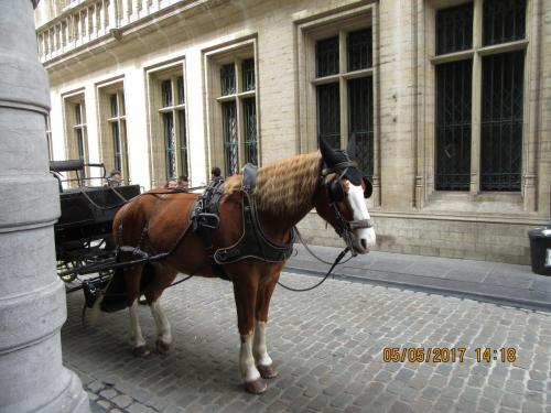 Нов. Ароматы 2 044.JPG