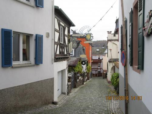 Божоле 2016 2208.JPG