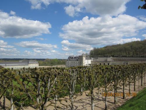 Ароматы, 11.04.2016 1282.JPG