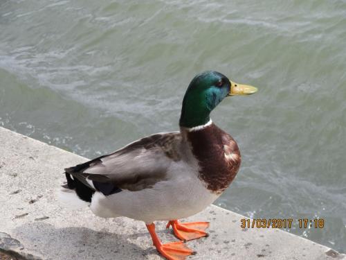 март, париж 2078.JPG