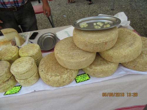 2GT 1 часть2016 2220.JPG