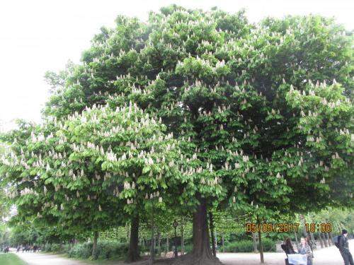 Нов. Ароматы 2 324.JPG