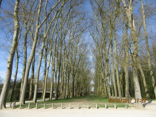 март, париж 1782.JPG