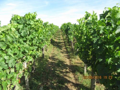 2GT 1 часть2016 1518.JPG