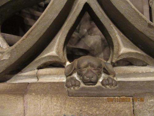 Божоле 2016 1910.JPG