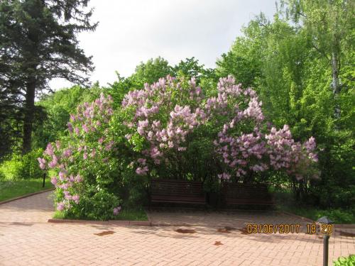 Берлинская 2 060.JPG