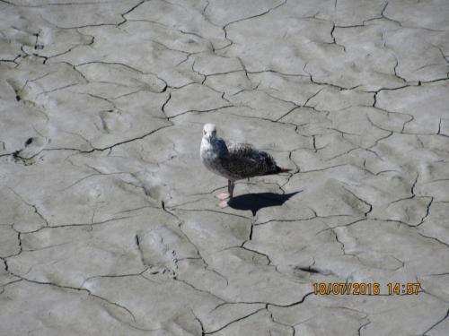 Великолепная Франция 2016 1080.JPG