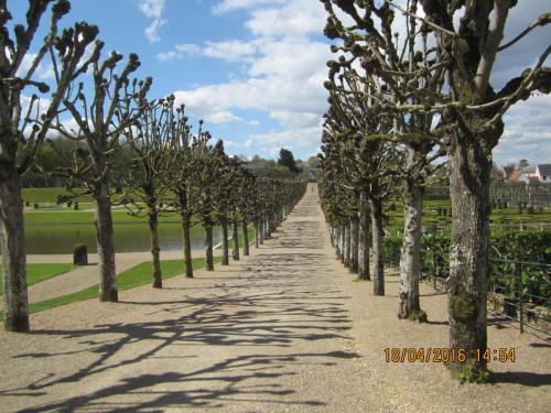 Ароматы, 11.04.2016 1270.JPG