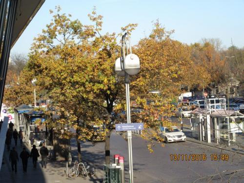 Божоле 2016 206.JPG