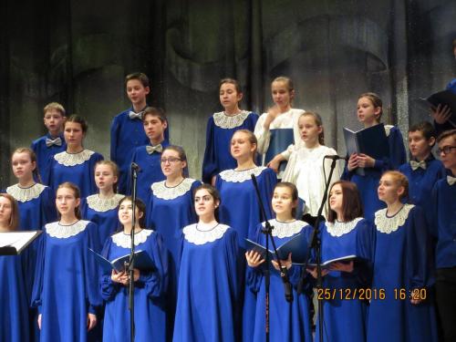 Мандрагора 114.JPG