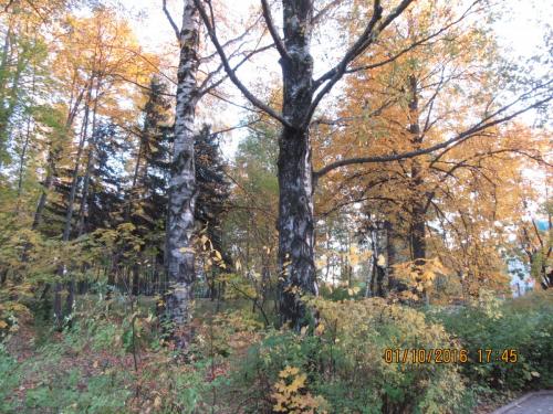 День музыки 004.JPG