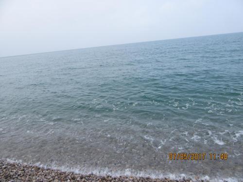 Нов. Ароматы 2 985.JPG