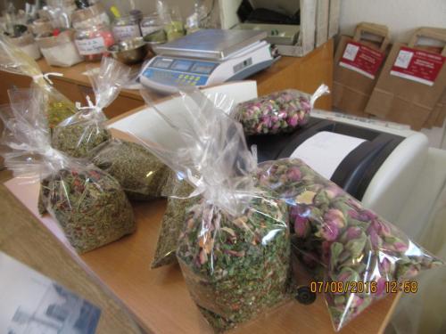 2GT 2016, 2 часть 256.JPG