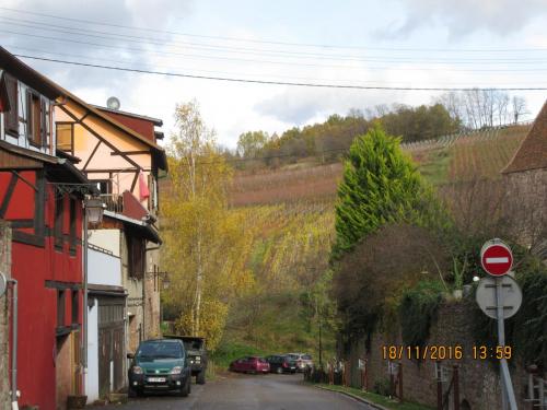 Божоле 2016 1792.JPG