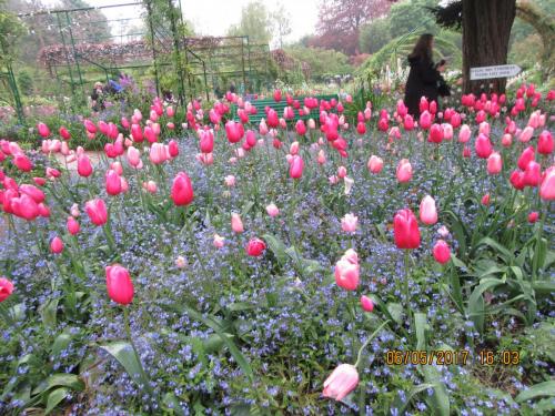 Нов. Ароматы 2 694.JPG