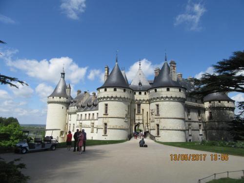 Ароматы 2 (2017) 937.JPG