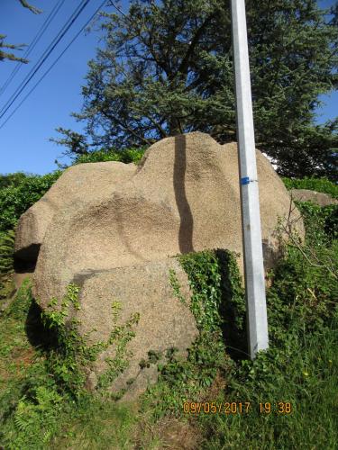 Нов. Ароматы 2 1904.JPG