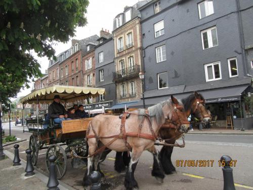 Нов. Ароматы 2 1117.JPG