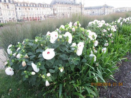 2GT 1 часть2016 1156.JPG