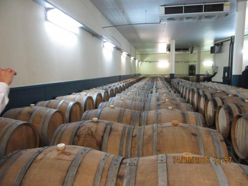 Божоле 2016 227.JPG