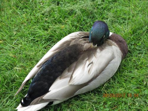 март, париж 1039.JPG