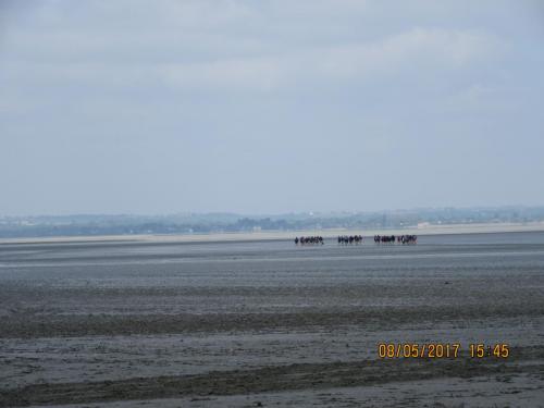 Нов. Ароматы 2 1456.JPG