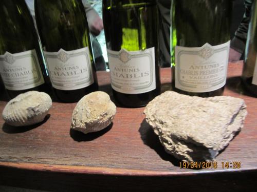 Ароматы, 11.04.2016 1647.JPG