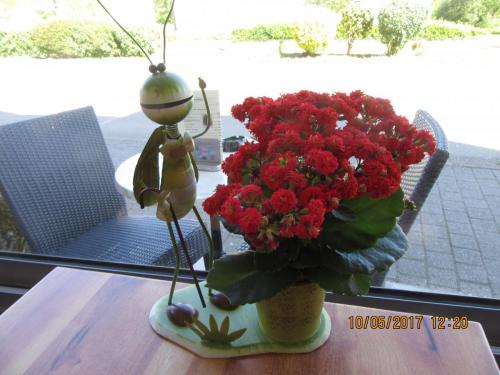 Нов. Ароматы 2 2114.JPG