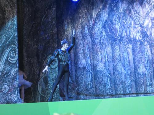 Лебединое озеро 035.JPG