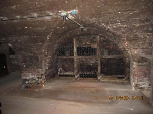 Божоле 2016 1627.JPG