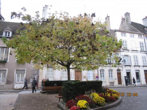 Божоле 2016 1441.JPG