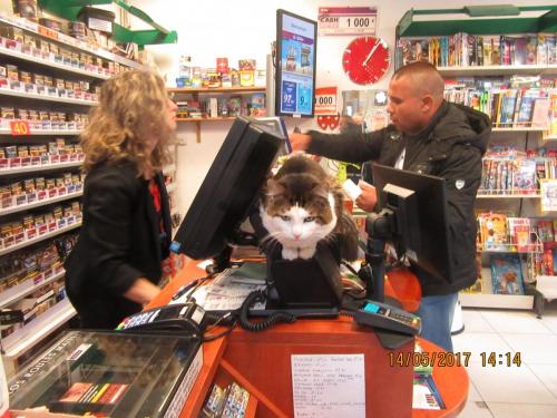 Ароматы 2 (2017) 1453.JPG