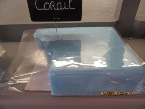 2GT 2016, 2 часть 262.JPG