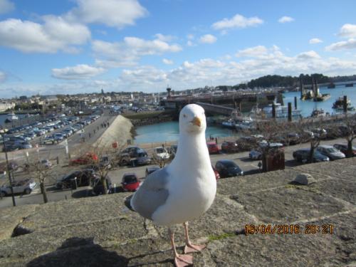 Ароматы, 11.04.2016 944.JPG