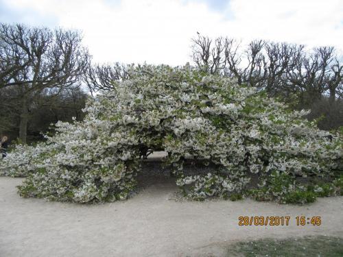 март, париж 1013.JPG