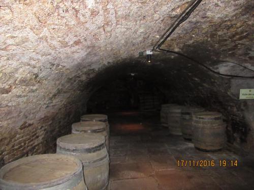 Божоле 2016 1638.JPG