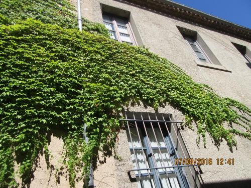 2GT 2016, 2 часть 234.JPG