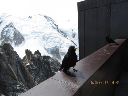 2 AS, 2 часть 324.JPG