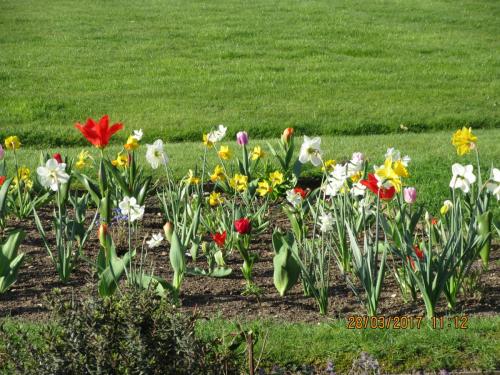 март, париж 909.JPG