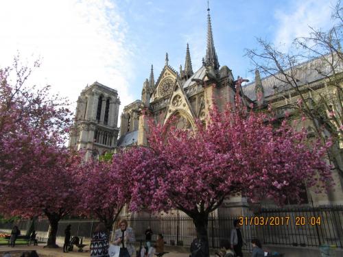 март, париж 2282.JPG